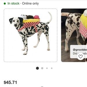 NWT. Rubies Banana Split Ice Cream Sunday Dog Costume